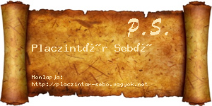 Placzintár Sebő névjegykártya